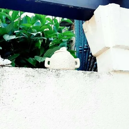 Seaside With Views, Balcony,terrace *