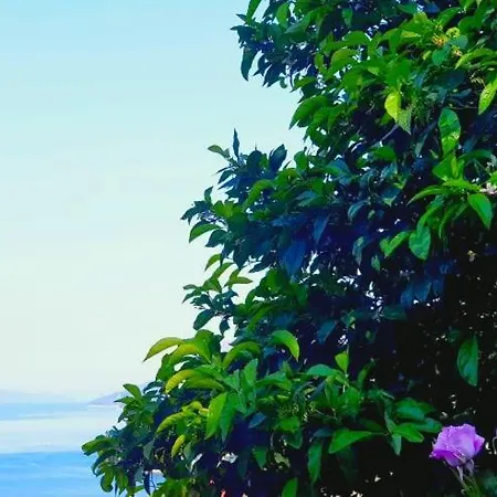 Seaside With Views, Balcony,terrace Διαμέρισμα Ντουμπρόβνικ